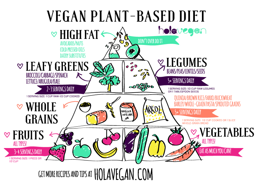 Vegan Plant-Based Diet